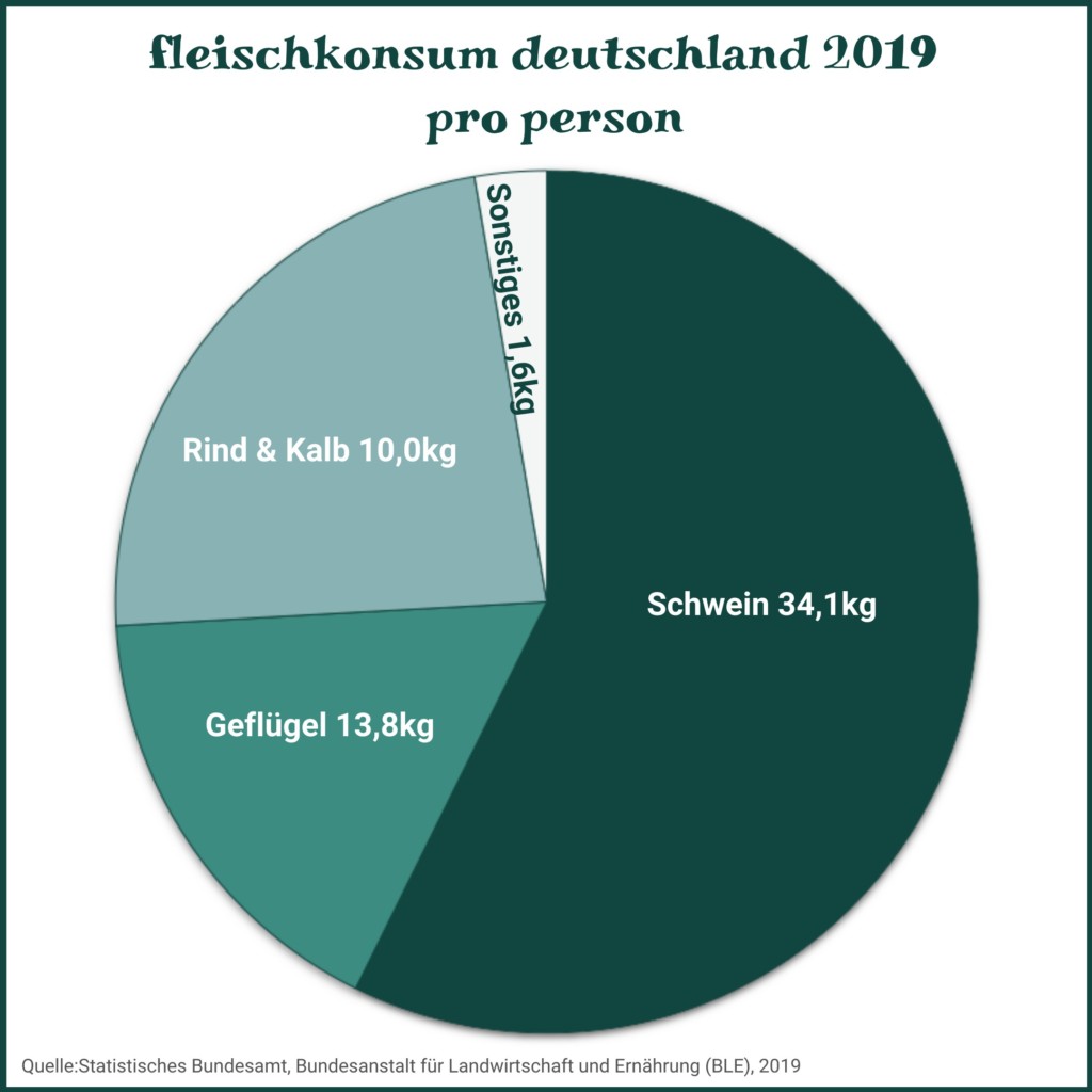 Fleischkonsum Deutschland 2019